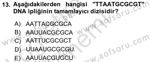 Temel Veteriner Genetik Dersi 2021 - 2022 Yılı (Final) Dönem Sonu Sınav Soruları 13. Soru