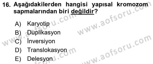 Temel Veteriner Genetik Dersi 2021 - 2022 Yılı (Final) Dönem Sonu Sınav Soruları 16. Soru