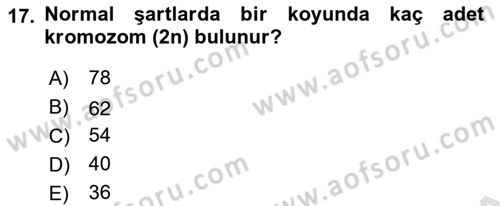 Temel Veteriner Genetik Dersi 2021 - 2022 Yılı (Final) Dönem Sonu Sınav Soruları 17. Soru