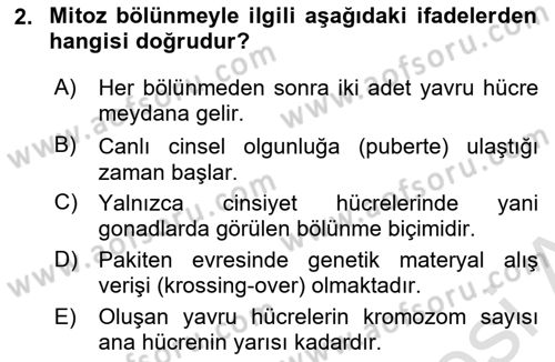 Temel Veteriner Genetik Dersi 2021 - 2022 Yılı (Final) Dönem Sonu Sınav Soruları 2. Soru