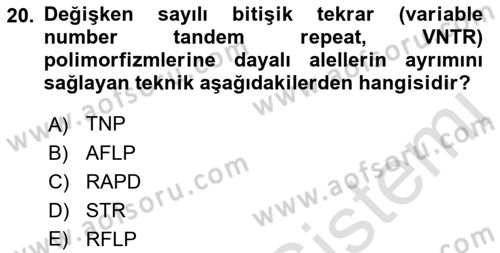 Temel Veteriner Genetik Dersi 2021 - 2022 Yılı (Final) Dönem Sonu Sınav Soruları 20. Soru