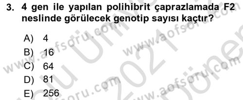 Temel Veteriner Genetik Dersi 2021 - 2022 Yılı (Final) Dönem Sonu Sınav Soruları 3. Soru