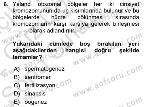 Temel Veteriner Genetik Dersi 2021 - 2022 Yılı (Final) Dönem Sonu Sınav Soruları 6. Soru