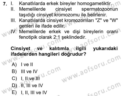 Temel Veteriner Genetik Dersi 2021 - 2022 Yılı (Final) Dönem Sonu Sınavı 7. Soru