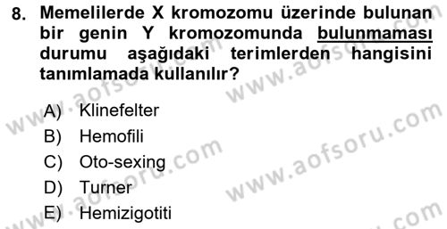 Temel Veteriner Genetik Dersi 2021 - 2022 Yılı (Final) Dönem Sonu Sınav Soruları 8. Soru