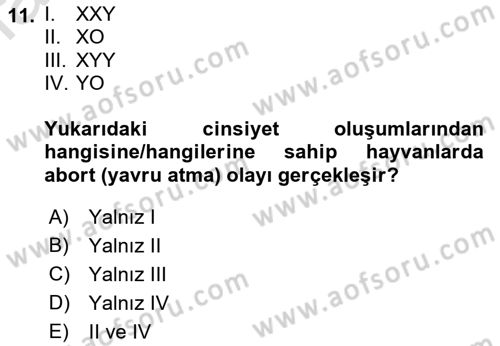Temel Veteriner Genetik Dersi 2021 - 2022 Yılı Yaz Okulu Sınav Soruları 11. Soru