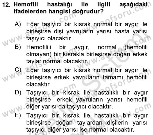 Temel Veteriner Genetik Dersi 2021 - 2022 Yılı Yaz Okulu Sınav Soruları 12. Soru