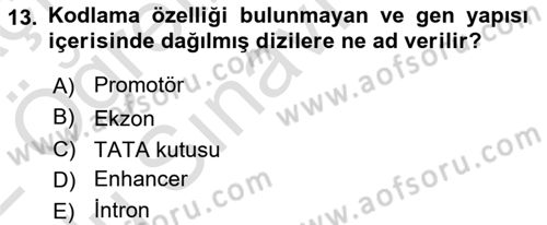 Temel Veteriner Genetik Dersi 2021 - 2022 Yılı Yaz Okulu Sınav Soruları 13. Soru