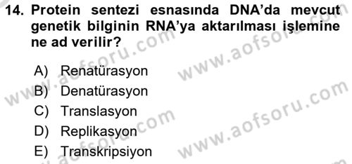 Temel Veteriner Genetik Dersi 2021 - 2022 Yılı Yaz Okulu Sınav Soruları 14. Soru