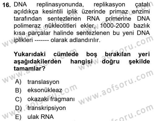 Temel Veteriner Genetik Dersi 2021 - 2022 Yılı Yaz Okulu Sınav Soruları 16. Soru