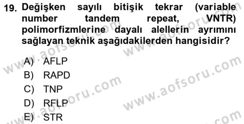 Temel Veteriner Genetik Dersi 2021 - 2022 Yılı Yaz Okulu Sınav Soruları 19. Soru
