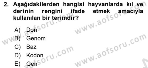 Temel Veteriner Genetik Dersi 2021 - 2022 Yılı Yaz Okulu Sınav Soruları 2. Soru