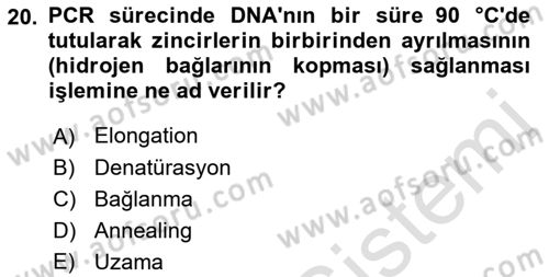 Temel Veteriner Genetik Dersi 2021 - 2022 Yılı Yaz Okulu Sınav Soruları 20. Soru