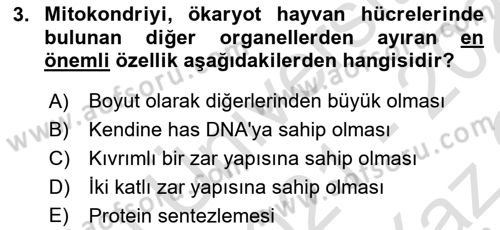 Temel Veteriner Genetik Dersi 2021 - 2022 Yılı Yaz Okulu Sınav Soruları 3. Soru