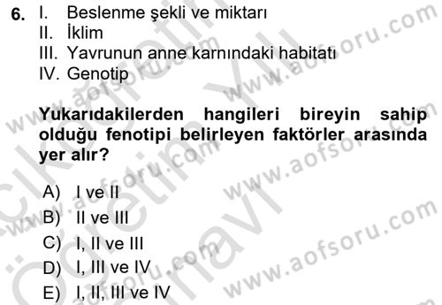 Temel Veteriner Genetik Dersi 2021 - 2022 Yılı Yaz Okulu Sınav Soruları 6. Soru