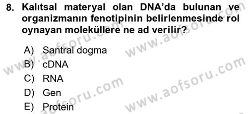 Temel Veteriner Genetik Dersi 2021 - 2022 Yılı Yaz Okulu Sınav Soruları 8. Soru