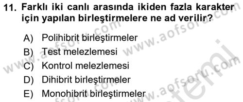 Temel Veteriner Genetik Dersi Ara Sınavı Deneme Sınav Soruları 11. Soru