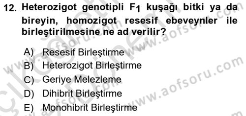Temel Veteriner Genetik Dersi Ara Sınavı Deneme Sınav Soruları 12. Soru
