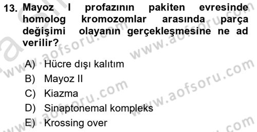 Temel Veteriner Genetik Dersi 2022 - 2023 Yılı (Vize) Ara Sınav Soruları 13. Soru
