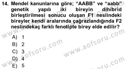Temel Veteriner Genetik Dersi Ara Sınavı Deneme Sınav Soruları 14. Soru