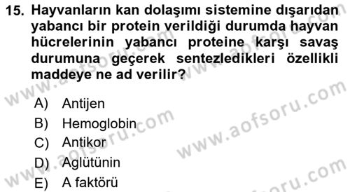 Temel Veteriner Genetik Dersi 2022 - 2023 Yılı (Vize) Ara Sınavı 15. Soru