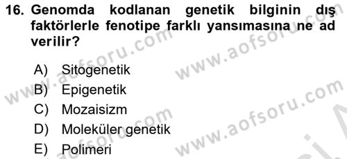 Temel Veteriner Genetik Dersi Ara Sınavı Deneme Sınav Soruları 16. Soru