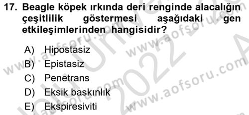 Temel Veteriner Genetik Dersi 2022 - 2023 Yılı (Vize) Ara Sınav Soruları 17. Soru