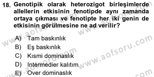 Temel Veteriner Genetik Dersi 2022 - 2023 Yılı (Vize) Ara Sınav Soruları 18. Soru