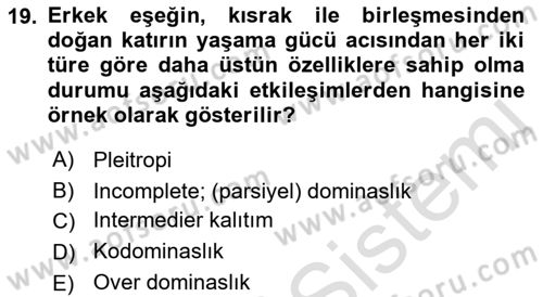 Temel Veteriner Genetik Dersi 2022 - 2023 Yılı (Vize) Ara Sınav Soruları 19. Soru