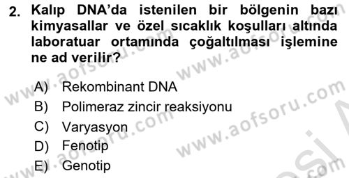 Temel Veteriner Genetik Dersi Ara Sınavı Deneme Sınav Soruları 2. Soru
