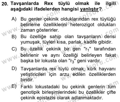 Temel Veteriner Genetik Dersi 2022 - 2023 Yılı (Vize) Ara Sınav Soruları 20. Soru