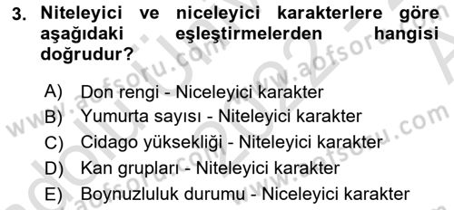 Temel Veteriner Genetik Dersi Ara Sınavı Deneme Sınav Soruları 3. Soru