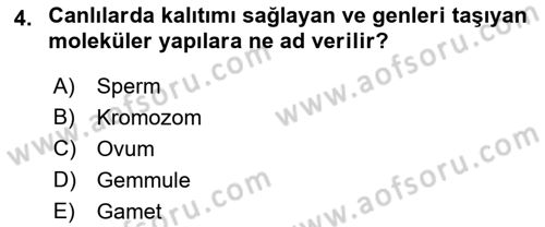 Temel Veteriner Genetik Dersi Ara Sınavı Deneme Sınav Soruları 4. Soru
