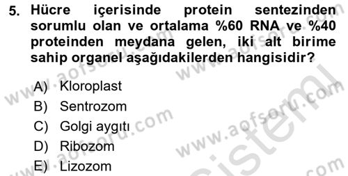Temel Veteriner Genetik Dersi Ara Sınavı Deneme Sınav Soruları 5. Soru