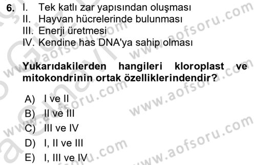 Temel Veteriner Genetik Dersi 2022 - 2023 Yılı (Vize) Ara Sınav Soruları 6. Soru