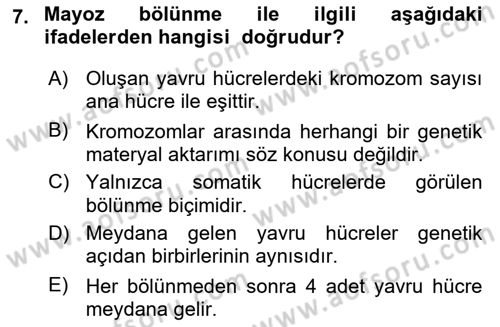Temel Veteriner Genetik Dersi 2022 - 2023 Yılı (Vize) Ara Sınav Soruları 7. Soru
