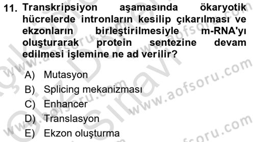Temel Veteriner Genetik Dersi 2022 - 2023 Yılı (Final) Dönem Sonu Sınav Soruları 11. Soru