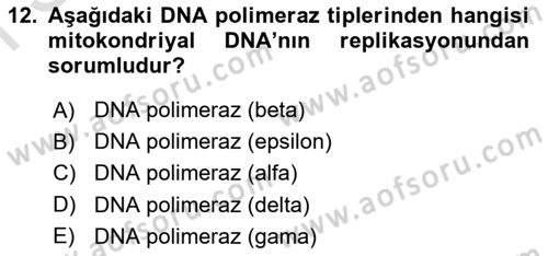 Temel Veteriner Genetik Dersi 2022 - 2023 Yılı (Final) Dönem Sonu Sınav Soruları 12. Soru