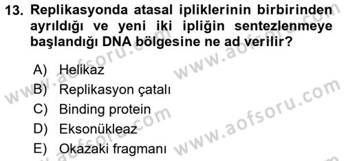 Temel Veteriner Genetik Dersi 2022 - 2023 Yılı (Final) Dönem Sonu Sınav Soruları 13. Soru