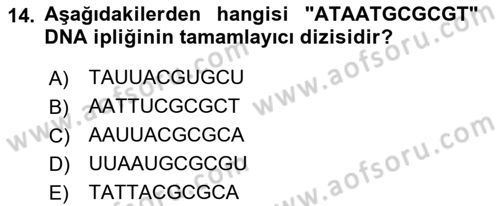 Temel Veteriner Genetik Dersi 2022 - 2023 Yılı (Final) Dönem Sonu Sınav Soruları 14. Soru