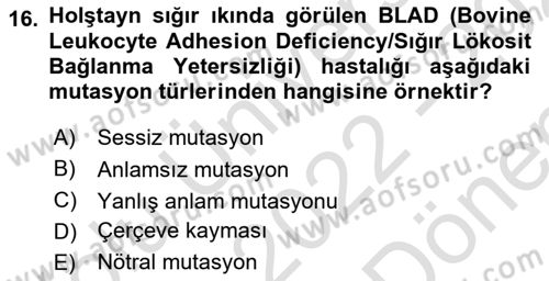 Temel Veteriner Genetik Dersi 2022 - 2023 Yılı (Final) Dönem Sonu Sınav Soruları 16. Soru