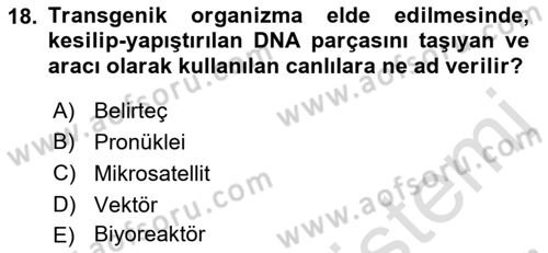 Temel Veteriner Genetik Dersi 2022 - 2023 Yılı (Final) Dönem Sonu Sınav Soruları 18. Soru