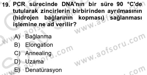 Temel Veteriner Genetik Dersi 2022 - 2023 Yılı (Final) Dönem Sonu Sınav Soruları 19. Soru