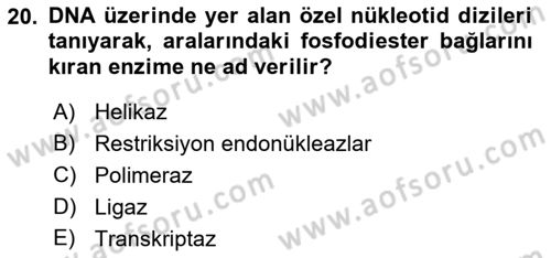 Temel Veteriner Genetik Dersi 2022 - 2023 Yılı (Final) Dönem Sonu Sınav Soruları 20. Soru