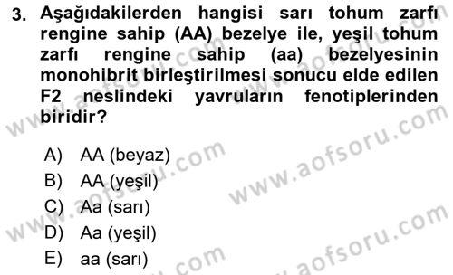 Temel Veteriner Genetik Dersi 2022 - 2023 Yılı (Final) Dönem Sonu Sınav Soruları 3. Soru