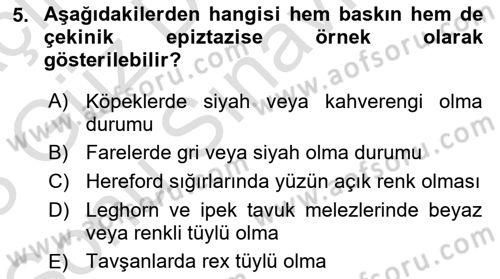 Temel Veteriner Genetik Dersi 2022 - 2023 Yılı (Final) Dönem Sonu Sınav Soruları 5. Soru