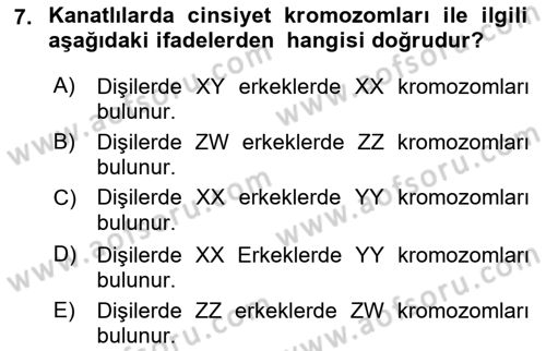 Temel Veteriner Genetik Dersi 2022 - 2023 Yılı (Final) Dönem Sonu Sınav Soruları 7. Soru
