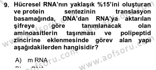 Temel Veteriner Genetik Dersi 2022 - 2023 Yılı (Final) Dönem Sonu Sınav Soruları 9. Soru