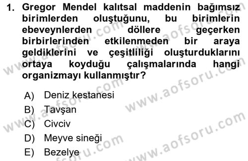 Temel Veteriner Genetik Dersi 2022 - 2023 Yılı Yaz Okulu Sınav Soruları 1. Soru