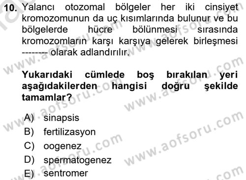 Temel Veteriner Genetik Dersi 2022 - 2023 Yılı Yaz Okulu Sınav Soruları 10. Soru